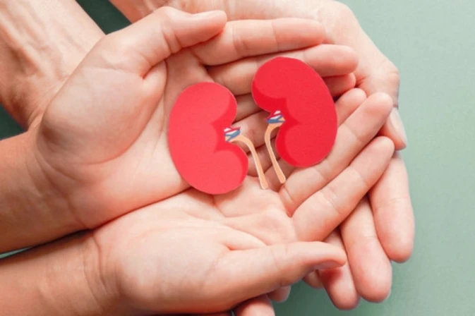 Pre Post Kidney Transplant